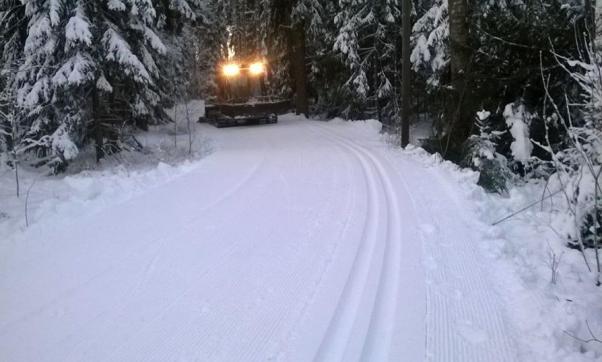Paloheinä ladut (kopio)